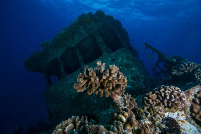 Scuba Diving in Oahu - USS Nashua, Navy Tug Wreck