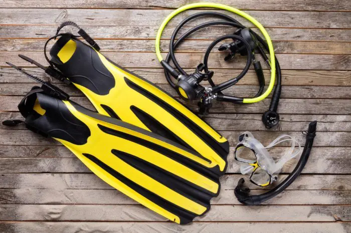 Scuba fins come in two main types