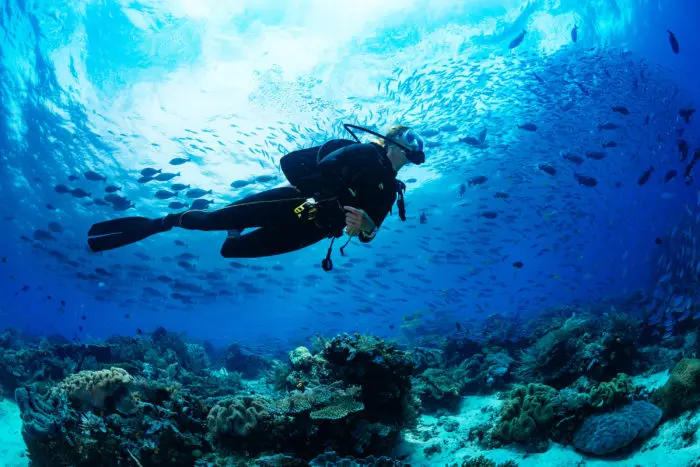 Scuba Diving on a coral reef