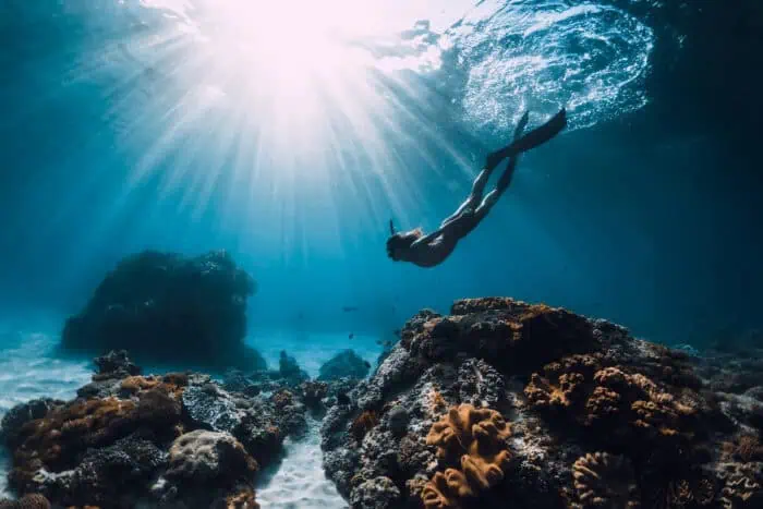 A freediver exploring corals.