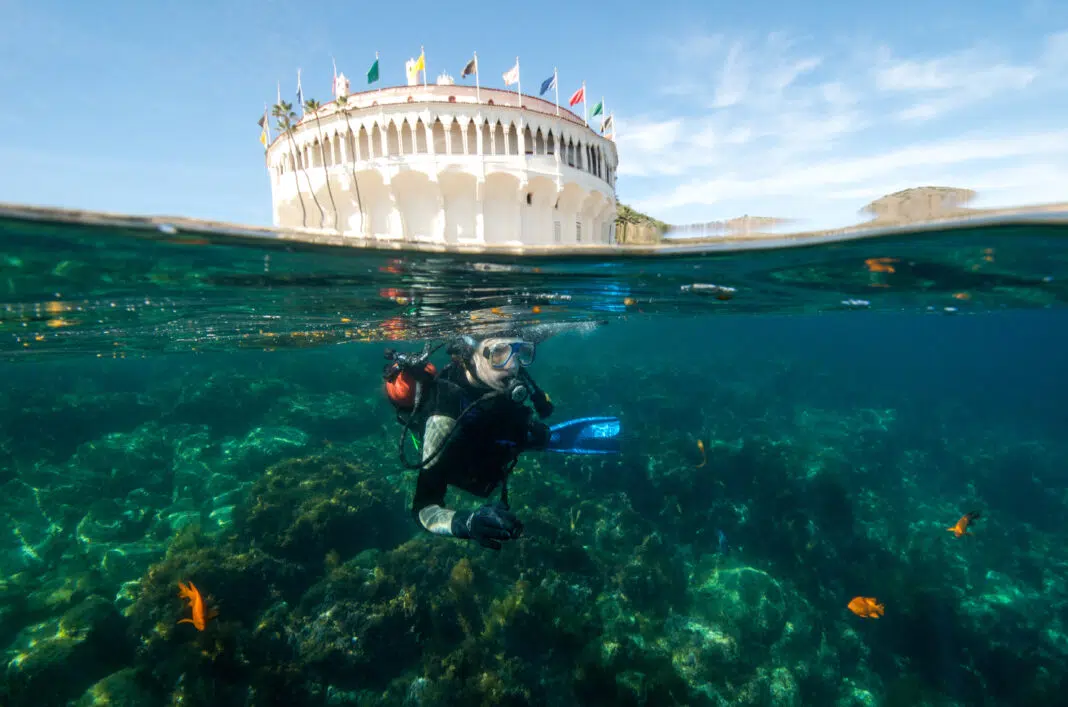 A Diver Experiences the Underwater Beauty of Catalina Island Scuba Diving
