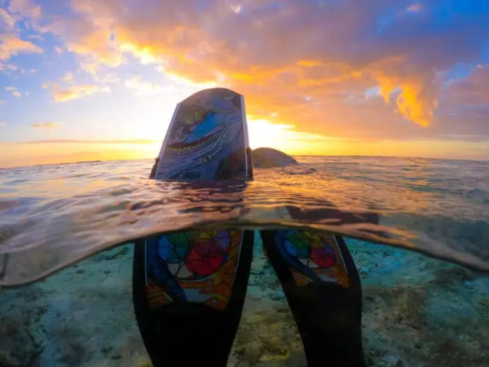 Freediving bifins against a sunset