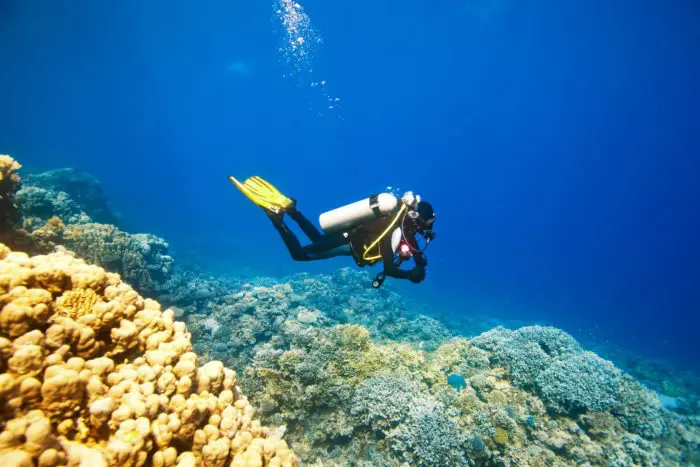 Getting into a trim position helps conserve air and scuba dive longer