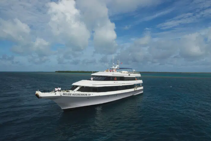 Belize IV Yacht. Photo by Michele Westmorland, Scott Johnson and Aggressor Adventures
