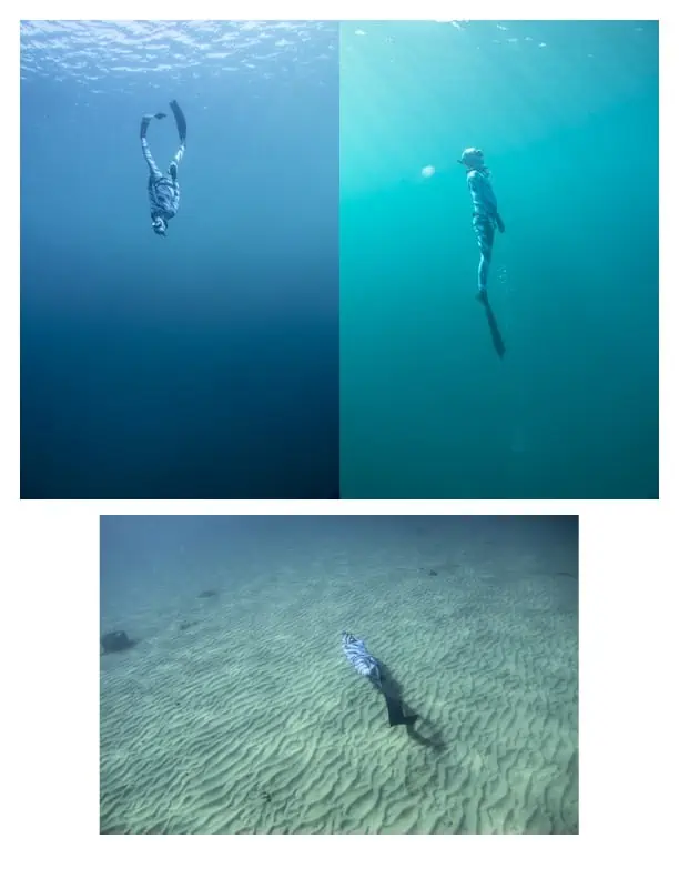 Vertical Blue Blackfin in action