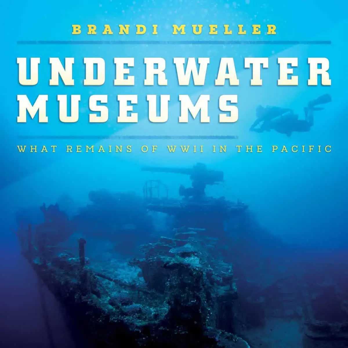 Brandi Mueller's 'Underwater Museums' book