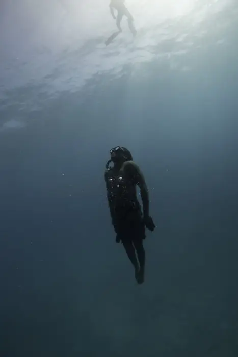 Marlon: No-fins Prodigy