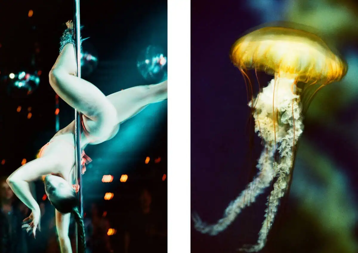 Elizabeth Waterman Jellyfish Diptych #2Left image: Dancer in cyan light (Shimmey) at Polemasters Playhouse in West Hollywood, 2024 Right image: Pacific sea nettle (Chrysaora fuscescens), yellow bell against blue-green background, 2024 (35mm film)