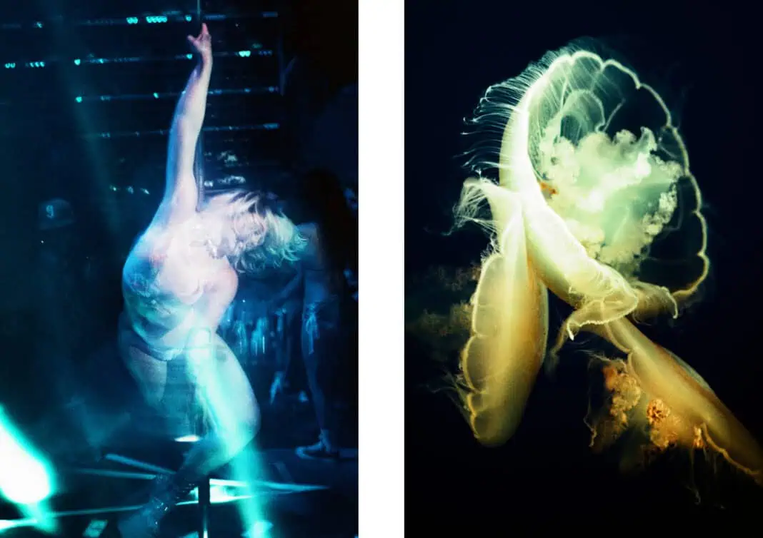 Elizabeth Waterman Jellyfish Diptych #4 Left image: Three moon jellies (Auerlia labiata) touching, 2024 Right image: Dancer in ghostly blue light at Polemasters Playhouse in West Hollywood, 2024 (35mm film)