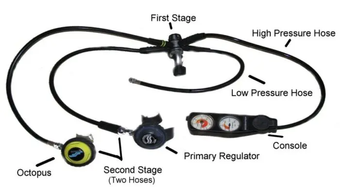 The regulator is an essential piece of scuba gear