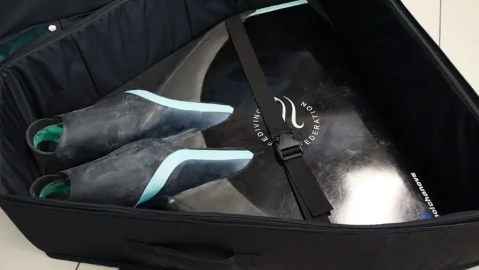 Monofins are often transported in specialist bags