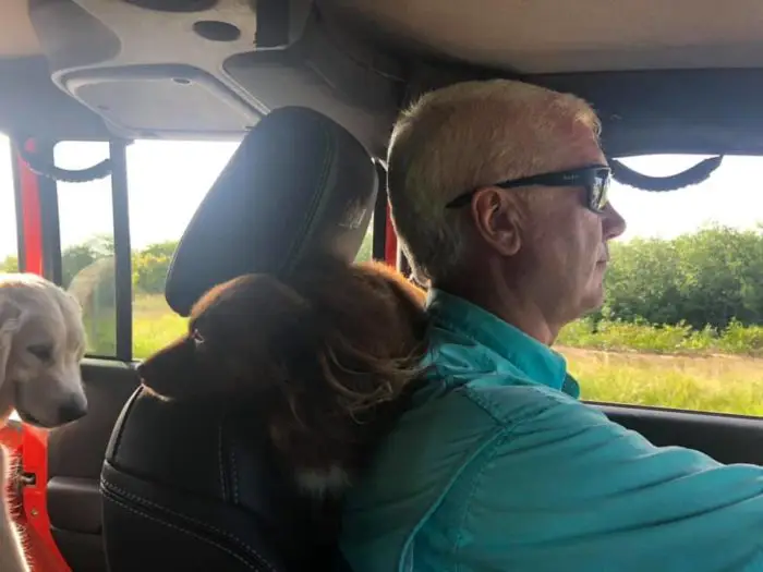 Our host John in his well-appointed Jeep (note the custom headrest)