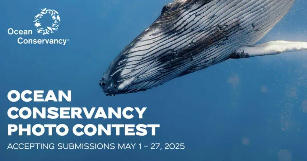 Ocean Conservancy 2025 Photo Contest
