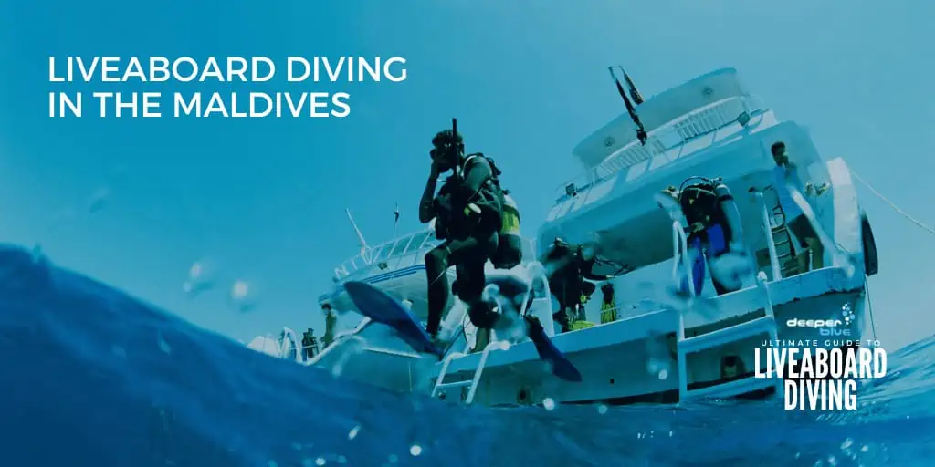 Maldives Liveaboard Diving - Ultimate Guide to Liveaboard Diving