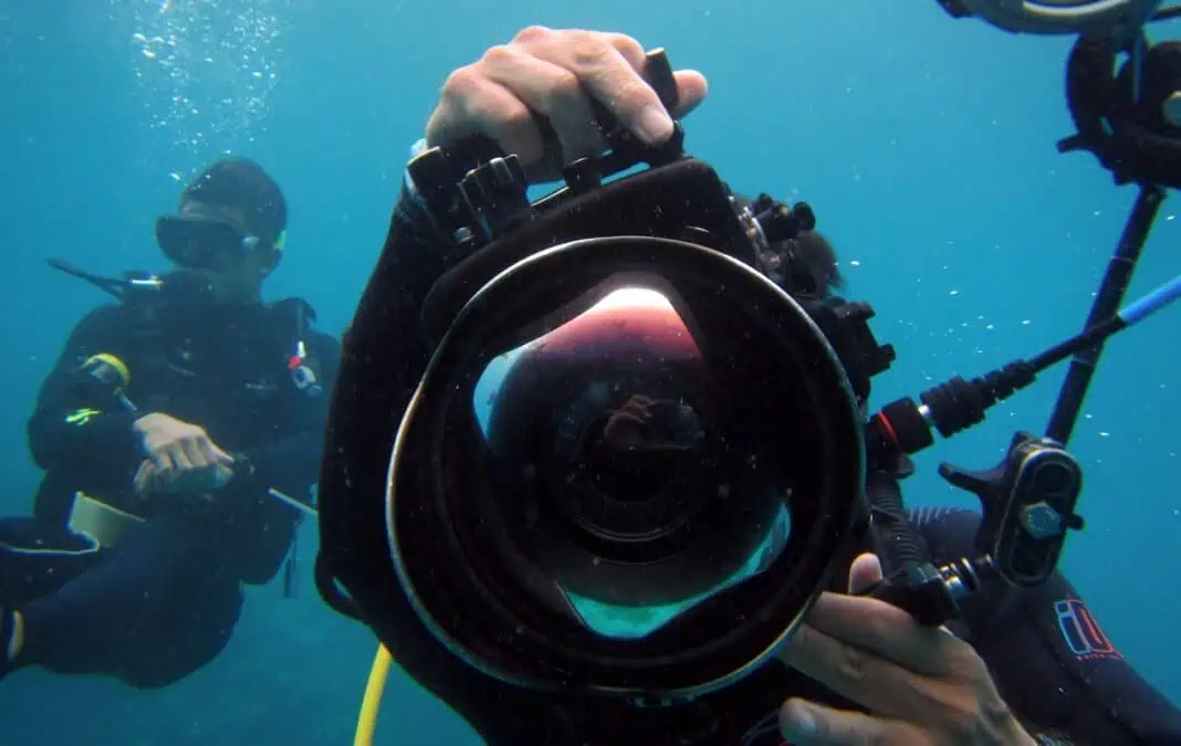 Underwater Photography (AdobeStock)