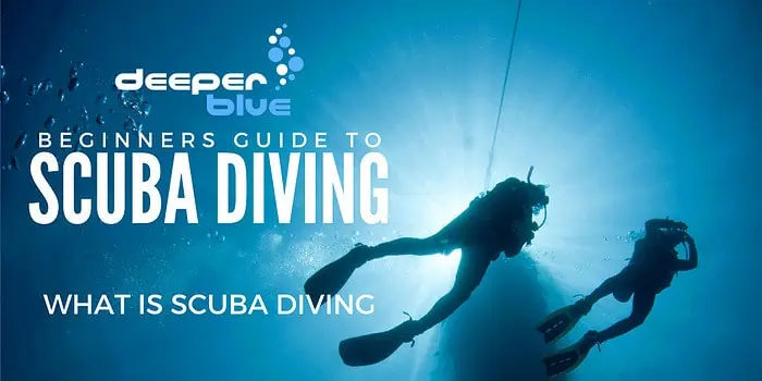 What Is Scuba Diving - Everything You Need To Know