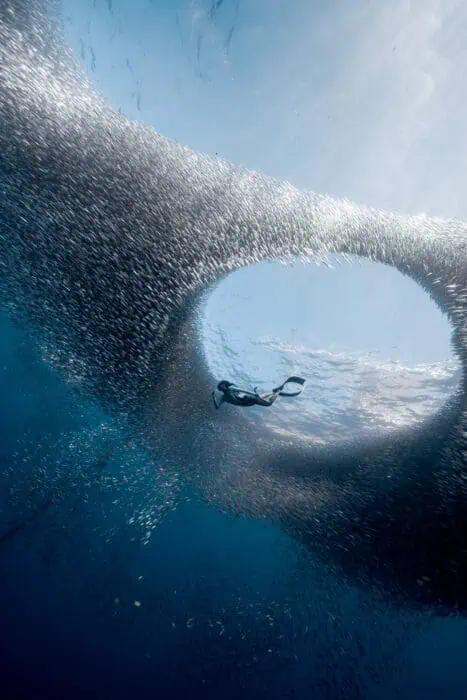 "Whirlpool" by Benjamin Yavar.